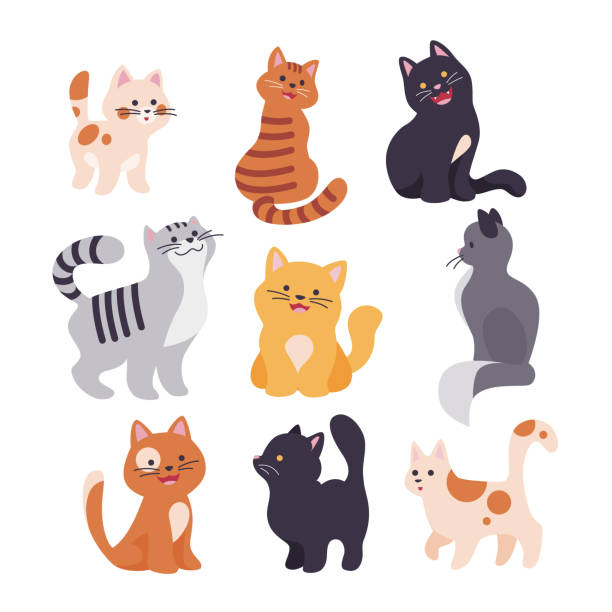 Cats