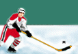 Hockey & Skating